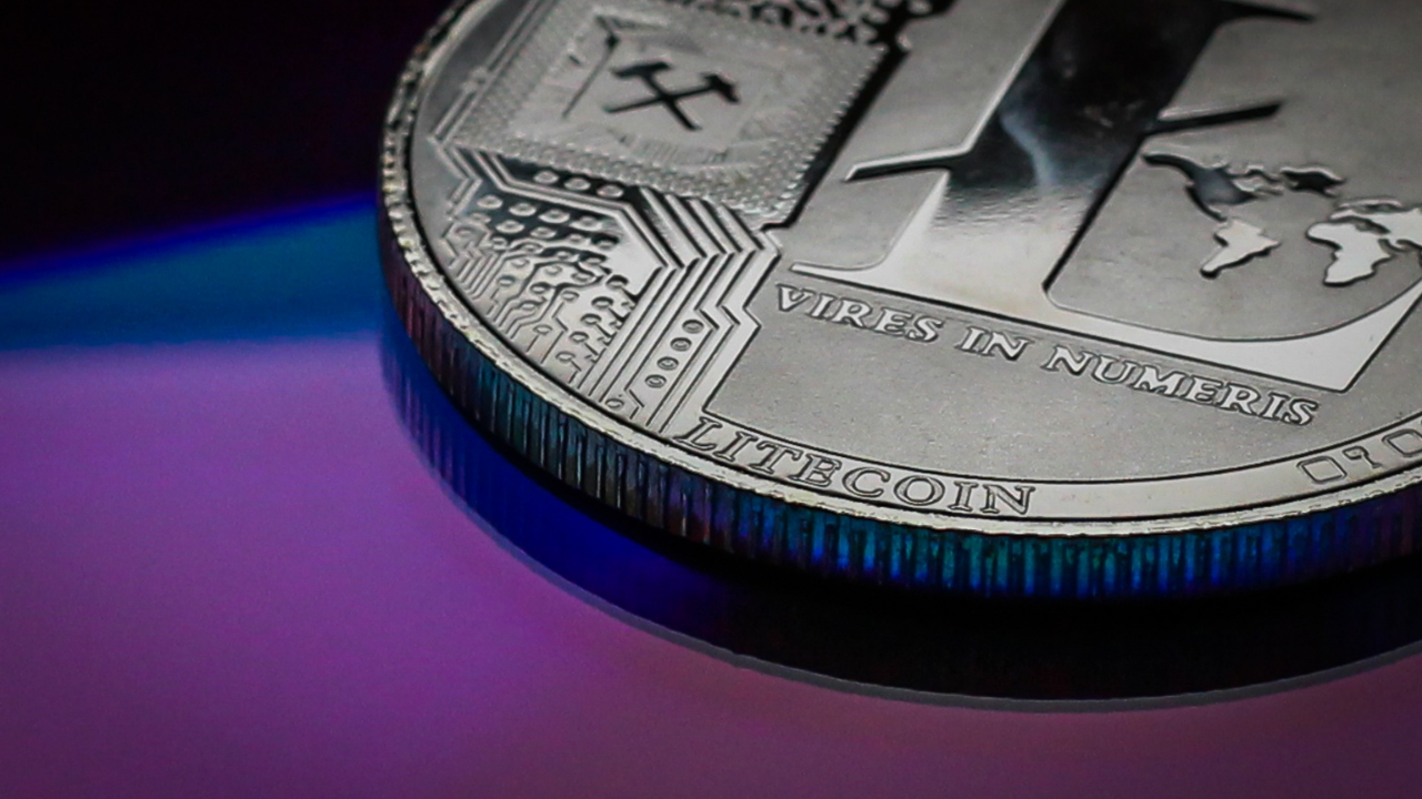 Litecoin [LTC]: Here’s how you can minimize risk before placing bets