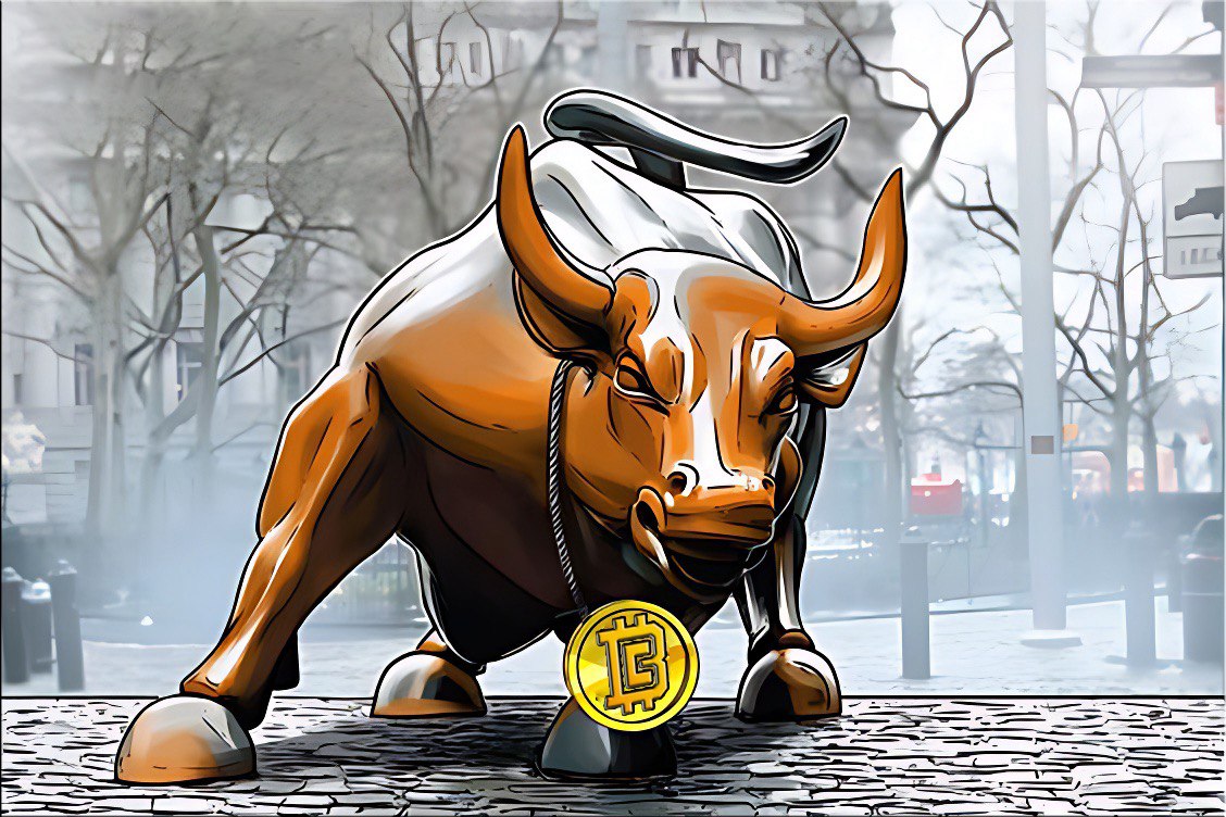 The Symbiotic Relationship between Halving and Bull Runs in Cryptocurrency